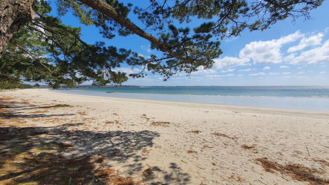 Vacances O Cap Coz - Jardin Vue Mer Et Piscine - Residence Cap Azur Fouesnant Bagian luar foto