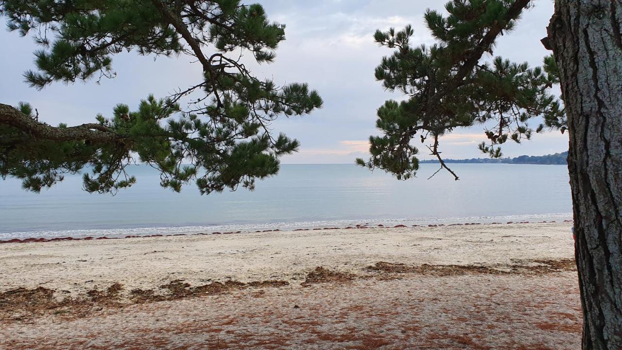 Vacances O Cap Coz - Jardin Vue Mer Et Piscine - Residence Cap Azur Fouesnant Bagian luar foto